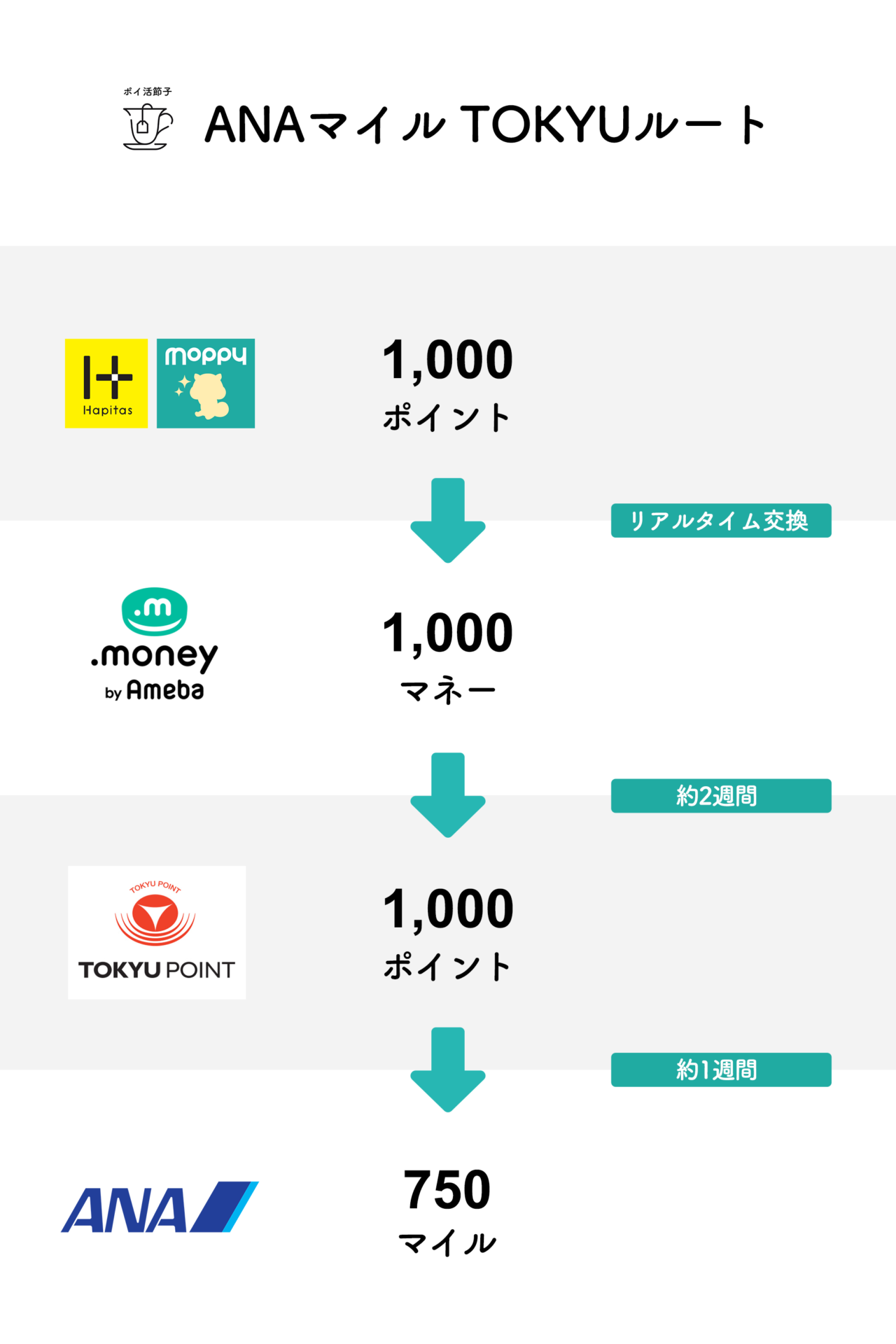 東急ルートとは？陸マイラーがANAマイルを貯めるルート ポイントサイトのポイント →ドットマネー by Ameba →TOKYU POINT →ANAマイル